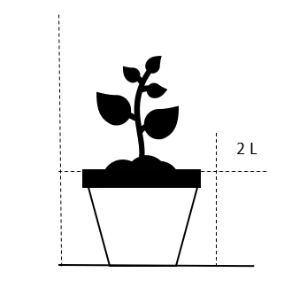 Kertepileurt 'Blackfield' Persicaria Amplexicaulis 'Blackfield' 2 Liter Potte 4 Kertepileurt 'Blackfield' Persicaria Amplexicaulis 'Blackfield' 2 Liter Potte - Billede 2