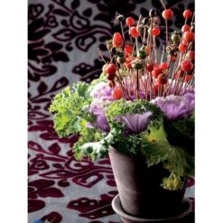 Broccoli 'Calabrese Natalino' Øko Brassica Oleracea 'Calabrese Natalino' Frøpose, Antal Pr. Pakke, Ca. 35 Stk. 19 Broccoli 'Calabrese Natalino' Øko Brassica Oleracea 'Calabrese Natalino' Frøpose, Antal Pr. Pakke, Ca. 35 Stk. -Osmo Salgsbutik fi6062 brassica oleracea 5789