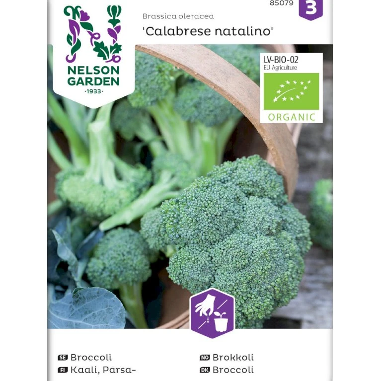 Broccoli 'Calabrese Natalino' Øko Brassica Oleracea 'Calabrese Natalino' Frøpose, Antal Pr. Pakke, Ca. 35 Stk. 3 Broccoli 'Calabrese Natalino' Øko Brassica Oleracea 'Calabrese Natalino' Frøpose, Antal Pr. Pakke, Ca. 35 Stk.