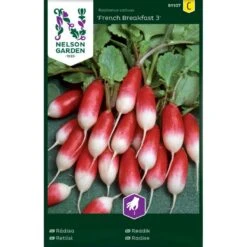 Radise 'French Breakfast 3' Raphanus Sativus 'French Breakfast 3' Pose Med Frø Eller Løg, 5