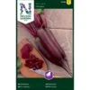 Aflang Rødbede 'Forono' Beta Vulgaris 'Forono' Pose Med Frø Eller Løg, 20 1 Aflang Rødbede 'Forono' Beta Vulgaris 'Forono' Pose Med Frø Eller Løg, 20 -Osmo Salgsbutik p20378 34821 beta vulgaris forono faf7