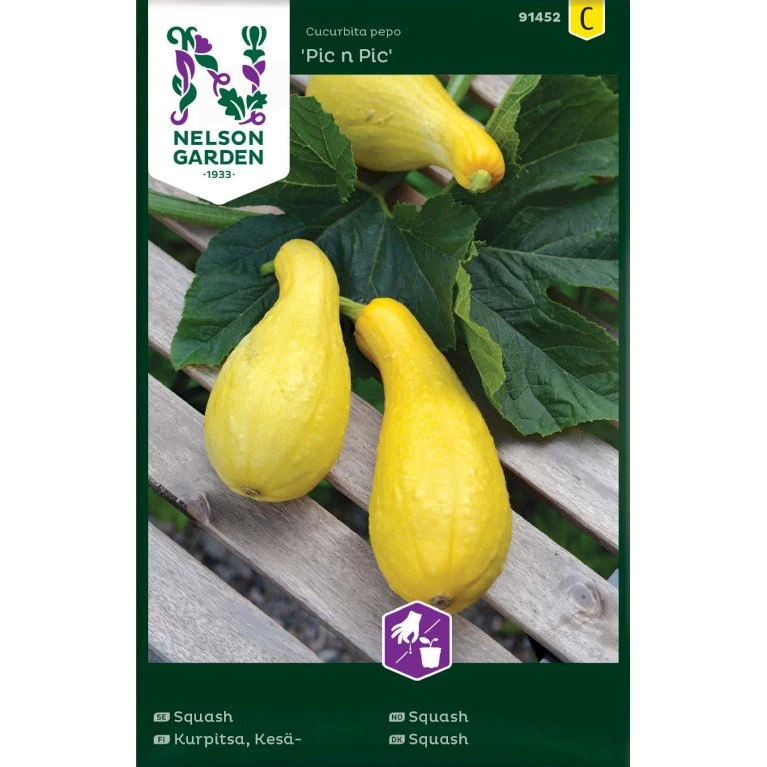 Squash 'Pic N Pic' Cucurbita Pepo 'Pic N Pic' Pose Med Frø Eller Løg, 10 3 Squash 'Pic N Pic' Cucurbita Pepo 'Pic N Pic' Pose Med Frø Eller Løg, 10
