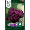 Valmue 'Black Peony' Papaver Somniferum 'Black Peony' Pose Med Frø Eller Løg, 40 -Osmo Salgsbutik p20659 34841 papaver somniferum black peony 6001
