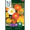 Sibirisk Valmue Mix Papaver Croceum Pose Med Frø Eller Løg, 25 2 Sibirisk Valmue Mix Papaver Croceum Pose Med Frø Eller Løg, 25 -Osmo Salgsbutik p20661 34840 papaver croceum 864e