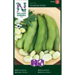 Valskbønne 'Threefold White' Vicia Faba 'Threefold White'