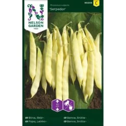 Snittebønne 'Serpedor' Phaseolus Vulgaris 'Serpedor'