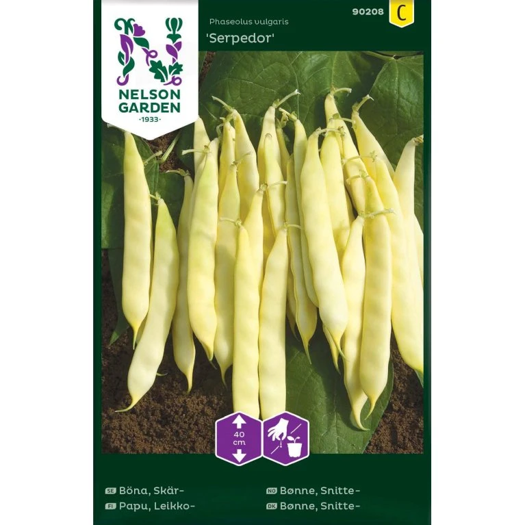 Snittebønne 'Serpedor' Phaseolus Vulgaris 'Serpedor' 3 Snittebønne 'Serpedor' Phaseolus Vulgaris 'Serpedor'