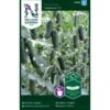 Miniagurk 'Hopeline' F1 Cucumis Sativus 'Hopeline' F1 -Osmo Salgsbutik p33645 37003 cucumis sativus hopeline f1 e90e