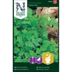 Kørvel 'Fijne Krul' Anthriscus Cerefolium 'Fijne Krul'