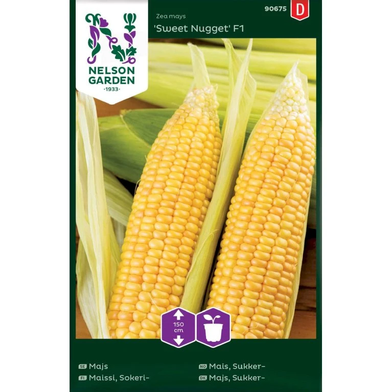 Sukkermajs 'Sweet Nugget' F1 Zea Mays 'Sweet Nugget' F1 3 Sukkermajs 'Sweet Nugget' F1 Zea Mays 'Sweet Nugget' F1