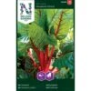 Bladbede 'Rhubarb Chard' Beta Vulgaris 'Rhubarb Chard' -Osmo Salgsbutik p33686 37119 beta vulgaris rhubarb chard 7504