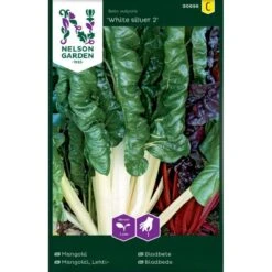 Bladbede 'White Silver 2' Beta Vulgaris 'White Silver 2'