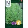 Osmo Merian Origanum Majorana L. -Osmo Salgsbutik p33688 37077 origanum majorana l 7b59