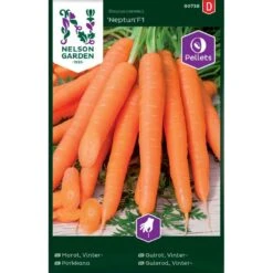 Vintergulerod 'Neptun' F1 Pellets Daucus Carota L 'Neptun' F1