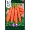 Sommergulerod 'Nantaise 2' Big Pack Daucus Carota L 'Nantaise 2' 1 Sommergulerod 'Nantaise 2' Big Pack Daucus Carota L 'Nantaise 2' -Osmo Salgsbutik p33698 37130 daucus carota l nantaise 2 597a