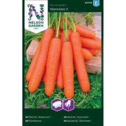 Sommergulerod 'Nantaise 2' Såbånd Daucus Carota L 'Nantaise 2'