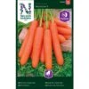 Sommergulerod 'Nantaise 2' Pellets Daucus Carota L 'Nantaise 2' 2 Sommergulerod 'Nantaise 2' Pellets Daucus Carota L 'Nantaise 2' -Osmo Salgsbutik p33700 37132 daucus carota l nantaise 2 f3ba