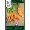 Gulerod, Sommer-, Oxheart Daucus Carota L 'Oxheart' -Osmo Salgsbutik p33705 37133 daucus carota l oxheart 896b