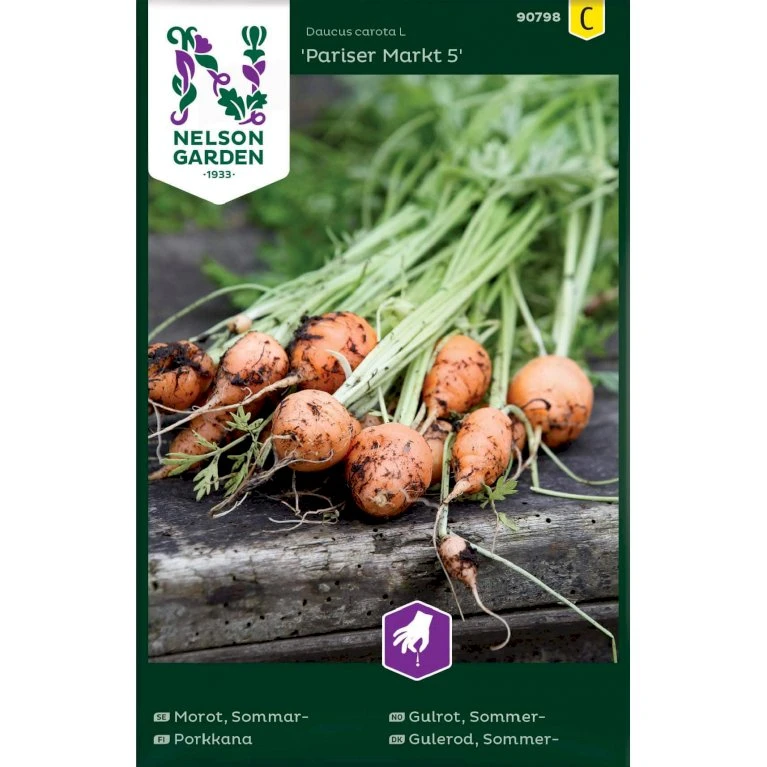 Sommergulerod 'Pariser Markt 5' Daucus Carota L 'Pariser Markt 5' 3 Sommergulerod 'Pariser Markt 5' Daucus Carota L 'Pariser Markt 5'