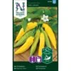 Ajíchili 'Hot Lemon' Capsicum Baccatum 'Hot Lemon' -Osmo Salgsbutik p33722 37039 capsicum baccatum hot lemon 8cbe