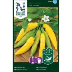 Ajíchili 'Hot Lemon' Capsicum Baccatum 'Hot Lemon'