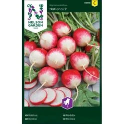 Radise 'National 2' Raphanus Sativus 'National 2'