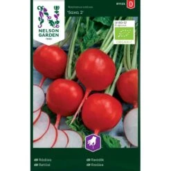 Radise 'Saxa 2' Øko Raphanus Sativus 'Saxa 2'