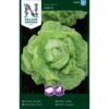 Hovedsalat 'Hilde II' Såbånd Lactuca Sativa 'Hilde II' -Osmo Salgsbutik p33766 37161 lactuca sativa hilde ii 2fc5