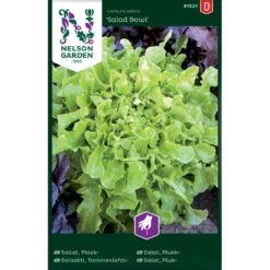 Pluksalat 'Salad Bowl' Lactuca Sativa 'Salad Bowl'