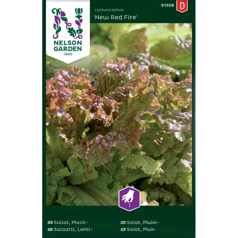 Pluksalat 'New Red Fire' Lactuca Sativa 'New Red Fire' 3 Pluksalat 'New Red Fire' Lactuca Sativa 'New Red Fire'