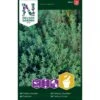 Timian Thymus Vulgaris L. 1 Timian Thymus Vulgaris L. -Osmo Salgsbutik p33807 37095 thymus vulgaris l 93b2