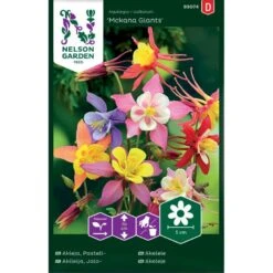 Akeleje 'Mckana Giants' Mix Aquilegia × Cultorum 'Mckana Giants'