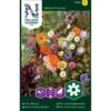 Honningblomster Mix Nelson Mixture -Osmo Salgsbutik p33851 37207 nelson mixture 45e8