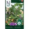 Slyngplanter Mix Nelson Mixture -Osmo Salgsbutik p33852 37208 nelson mixture 6de8