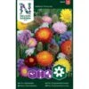 Evighedsblomster Mix Nelson Mixture -Osmo Salgsbutik p33854 37210 nelson mixture 30f6