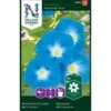 Pragtsnerle 'Heavenly Blue' Ipomoea Tricolor 'Heavenly Blue' -Osmo Salgsbutik p33859 37213 ipomoea tricolor heavenly blue d8a1