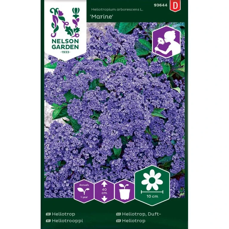 Ægte Heliotrop 'Marine' Heliotropium Arborescens L. 'Marine' 3 Ægte Heliotrop 'Marine' Heliotropium Arborescens L. 'Marine'