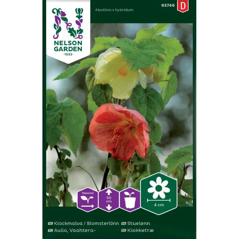 Klokketræ Mix Abutilon X Hybridum 3 Klokketræ Mix Abutilon X Hybridum