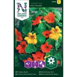 Buskblomsterkarse 'Tom Thumb' Tropaeolum Majus 'Tom Thumb'