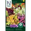 Lav Løvemund 'Cheerio' F2 Mix Antirrhinum Majus 'Cheerio' F2 -Osmo Salgsbutik p33911 37258 antirrhinum majus cheerio f2 0469