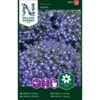 Hængelobelie 'Saphir' Lobelia Erinus 'Saphir' -Osmo Salgsbutik p33915 37262 lobelia erinus saphir 060f