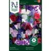 Lav Ærteblomst 'Bijou' Mix Lathyrus Odoratus L. 'Bijou' Mix -Osmo Salgsbutik p33918 37264 lathyrus odoratus l bijou mix d54e