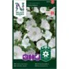 Mamelukærme 'Mont Blanc' Lavatera Trimestris L. 'Mont Blanc' 1 Mamelukærme 'Mont Blanc' Lavatera Trimestris L. 'Mont Blanc' -Osmo Salgsbutik p33932 37277 lavatera trimestris l mont blanc fea5