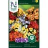 Sommerfugleblomst 'Carnival' Mix Nemesia Strumosa 'Carnival' Mix -Osmo Salgsbutik p33938 37282 nemesia strumosa carnival mixed cd26