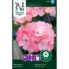 Pelargonie 'Inspire Pink' F1 Pelargonium X Hortorum 'Inspire Pink' F1 -Osmo Salgsbutik p33940 37284 pelargonium x hortorum inspire pink f1 ff64