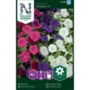 Minipetunia 'Picobella' F1 Mix Petunia Hybrida 'Picobella' F1 1 Minipetunia 'Picobella' F1 Mix Petunia Hybrida 'Picobella' F1 -Osmo Salgsbutik p33948 34878 petunia hybrida picobella f1 a357