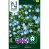 Blå Øjeblomst Nemophila Menziesii -Osmo Salgsbutik p33955 37294 nemophila menziesii e73e