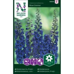 Pragtridderspore 'Blue Donna' Delphinium Belladonna 'Blue Donna'