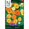 Lav Morgenfrue 'Fiesta Gitana' Calendula Officinalis 'Fiesta Gitana' 1 Lav Morgenfrue 'Fiesta Gitana' Calendula Officinalis 'Fiesta Gitana' -Osmo Salgsbutik p33973 37311 calendula officinalis fiesta gitana 6561