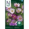 Stolt Kavaler 'Candy Stripe' Cosmos Bipinnatus 'Candy Stripe' -Osmo Salgsbutik p33983 37320 cosmos bipinnatus candy stripe 92af